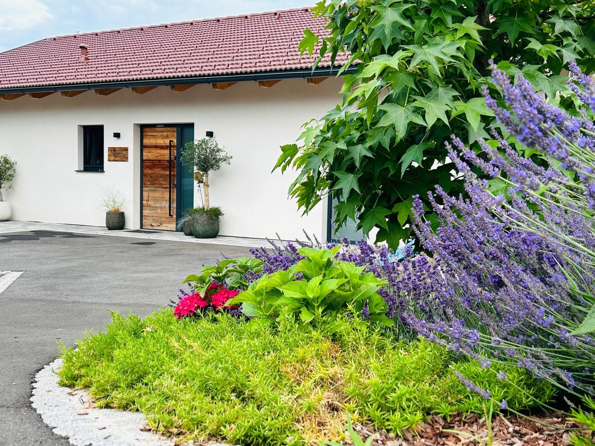 Sankt Stefan ob Stainz Traumhaus In Den Weinbergen - Max 8 Personen - Mit Self-Check-In 빌라 외부 사진